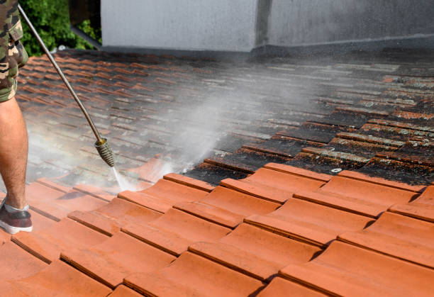 Best Exterior Home Cleaning  in Lake Shore, UT