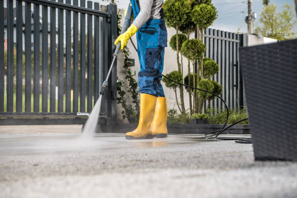 Best Pressure Washing Driveway  in Lake Shore, UT